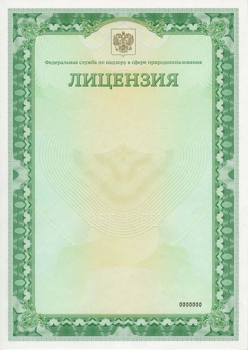pechat-pustykh-blankov-3